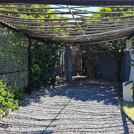 Panorama Indlu Lägenhet Kapstaden Exteriör bild
